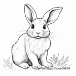 Realistic Baby Bunny Coloring Pages 3