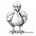 Realistic Baby Turkey Coloring Sheets 4