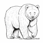 Realistic Black Bear Coloring Pages 2