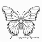 Realistic Blue Morpho Butterfly Coloring Pages 3