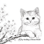 Realistic British Shorthair and Cherry Blossom Coloring Pages 1