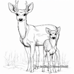 Realistic Browning Buck in the Forest Coloring Pages 1