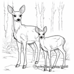 Realistic Browning Buck in the Forest Coloring Pages 4