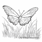 Realistic Butterfly in Meadow Coloring Pages 2