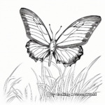 Realistic Butterfly in Meadow Coloring Pages 4