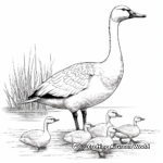 Realistic Canada Geese Coloring Pages 4
