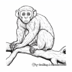 Realistic Capuchin Monkey Coloring Sheets 4