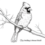 Realistic Cardinal Coloring Pages for Birdwatchers 4