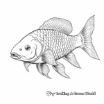 Realistic Carp Fish Coloring Pages 2