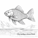 Realistic Carp Fish Coloring Pages 4