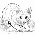 Realistic Cat Hunting Mouse Coloring Pages 4