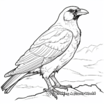 Páginas para colorear de cuervos comunes realistas 4