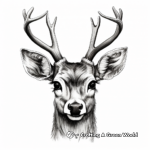 Realistic Deer Face Coloring Pages 2