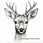 Realistic Deer Face Coloring Pages 4