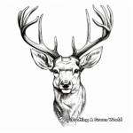 Realistic Deer with Antlers Coloring Pages 3