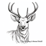 Realistic Deer with Antlers Coloring Pages 4