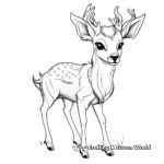 Realistic Deerling Coloring Pages for Adults 1
