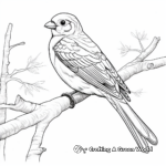 Realistic Detailed Blue Parakeet Coloring Pages for Adults 1