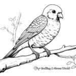 Realistic Detailed Blue Parakeet Coloring Pages for Adults 3