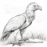Realistic Egyptian Vulture Coloring Sheets 1