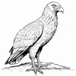 Realistic Egyptian Vulture Coloring Sheets 3