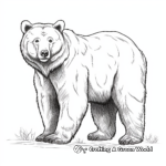 Realistic Eurasian Brown Bear Coloring Pages 2
