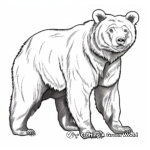 Realistic Eurasian Brown Bear Coloring Pages 3