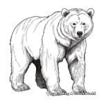Realistic Eurasian Brown Bear Coloring Pages 4