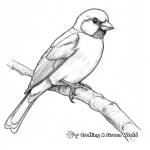 Realistic Eurasian Tree Sparrow Coloring Sheets 1
