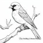 Realistic Eurasian Tree Sparrow Coloring Sheets 2