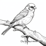 Realistic Eurasian Tree Sparrow Coloring Sheets 4