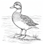 Realistic Female Wood Duck Coloring Sheets 4