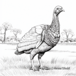 Realistic Gould’s Turkey Coloring Pages 1