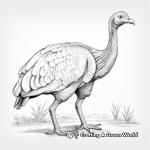 Realistic Gould’s Turkey Coloring Pages 4