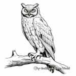 Realistic Great Horned Owl Hunting Coloring Pages 3