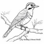 Realistic Hairy Woodpecker Coloring Sheets 2