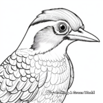 Realistic Hairy Woodpecker Coloring Sheets 3