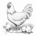 Realistic Hen with Chickens Coloring Pages 2