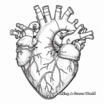 Realistic Human Heart Coloring Page 3