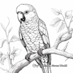Realistic Hyacinth Macaw Coloring Pages 2