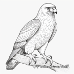 Realistic Lanner Falcon Coloring Sheets 1