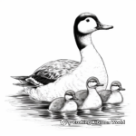 Realistic Loon Family Coloring Pages 4