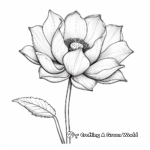 Realistic Lotus Flower Coloring Pages 4