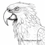 Realistic Macaw Parrot Coloring Pages 2