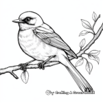 Realistic Mockingbird in Nature Coloring Sheets 3