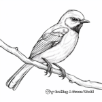 Realistic Mockingbird in Nature Coloring Sheets 4