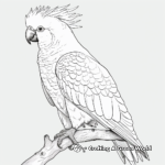 Realistic Moluccan Cockatoo Coloring Pages 4