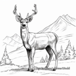 Realistic Mountain Mule Deer Coloring Pages 2