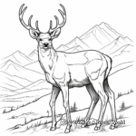 Realistic Mountain Mule Deer Coloring Pages 4