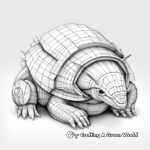 Realistic Nine-banded Armadillo Coloring Pages 4